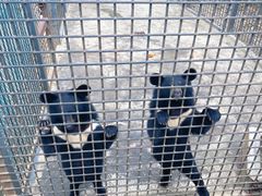 -水上乐园·欢乐世界