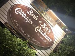 -卷心菜和避孕套餐厅(Pattaya)