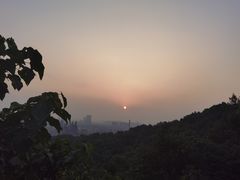 -杭州半山国家森林公园