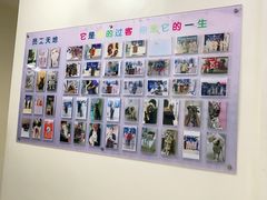 -全心全意连锁动物医院·微创中心·内科急重症·心脏专科(丰管路店)