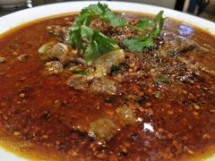 水煮牛肉-夫妻肺片·中华老字号·正宗川菜(春熙路店)