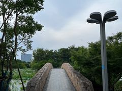 -澹台湖公园