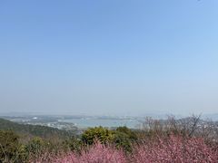 -香雪海