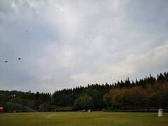 -汇泉广场