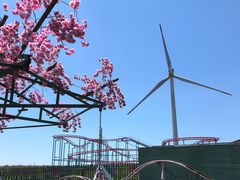-龙里油画大草原旅游区