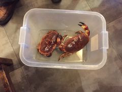 李老爹(宣武门店)-李老爹香辣蟹(宣武门店)