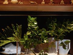 -BOCATA 西班牙餐厅(三里屯店)