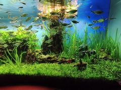 -太平洋海底世界