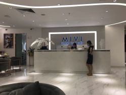 -MIVI·纹眉半永久野生眉