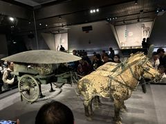 -秦始皇帝陵博物院-丽山园