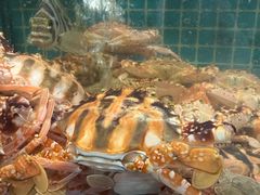 -坛南湾阿强农家乐.海鲜大排档老字号(福州地标美食店)