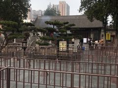-万寿八仙宫