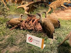 -国家自然博物馆