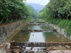 -广州白江湖森林公园