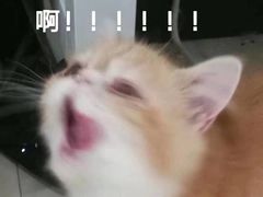 -佬土鹅肠火锅(解放路店)