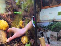 -云海肴·汽锅鸡·云南菜(天山百盛优客店)