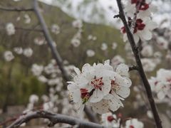 -雁门关景区