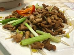 -优之名鹅城