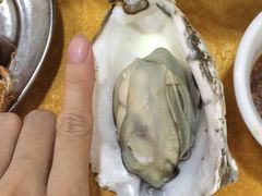-蚝专家(北滘店)