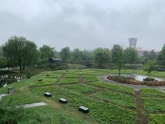 -国际非物质文化遗产博览园