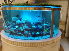 -碧中海汤泉汗蒸酒店