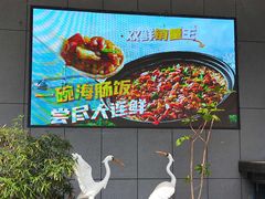 -连鹭海鲜·海肠捞饭·海胆饭(星海店)