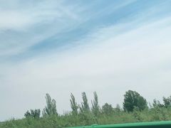 -哈素海