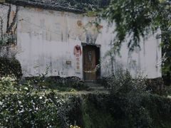 -杨家堂村