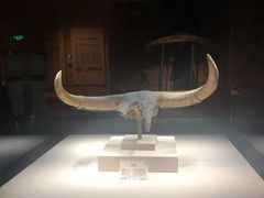 -宁夏博物馆