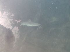 -新加坡水上探险乐园