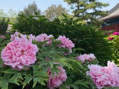 -大钟寺古钟博物馆