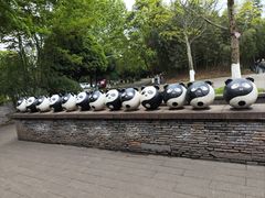-都江堰中华大熊猫苑