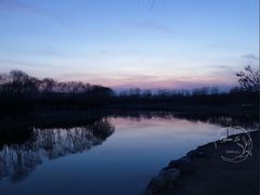 -大兴滨河森林公园