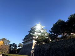 -名古屋城