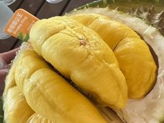 -榴莲BB 四季果园