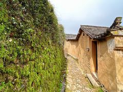 -杨家堂村