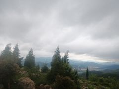 -长虫山生态公园风景林