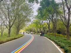 -同里国家湿地公园