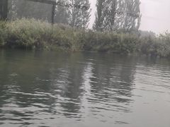 -白洋淀景区