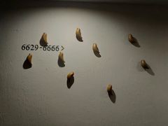 -三清山希尔顿度假酒店