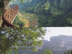 -鹿院坪生态旅游景区