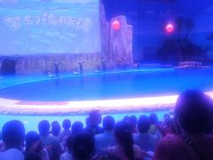 -华夏文旅海洋公园