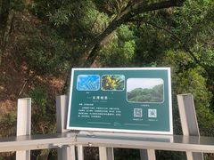 -福道