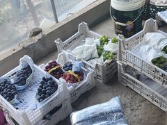 -马陆小张葡萄园农家乐