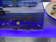 -张亮麻辣烫(哈尔滨金爵万象店)