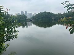 -成都南湖公园