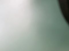 -南方太太小锅米饭(西工区金谷园路店)