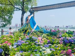 -无锡蠡湖国家湿地公园-蠡园