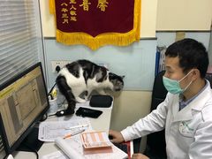 -瑞派·关忠动物医院(国瑞店)