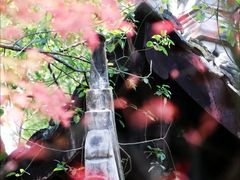 -忠山公园